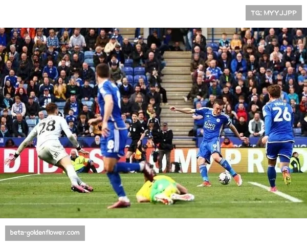 米德尔斯堡主场不敌赫尔城 近三轮遭遇两场失利